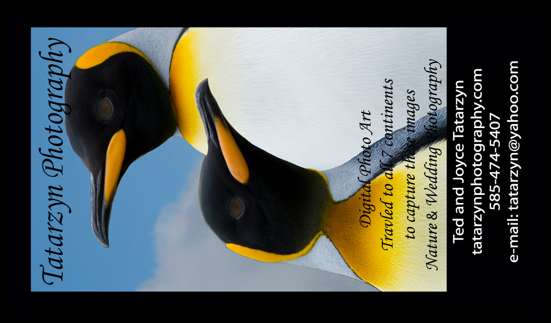 Business Profile