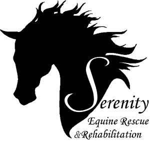 Serenity Equine Rescue and Rehabilitation Business Profile